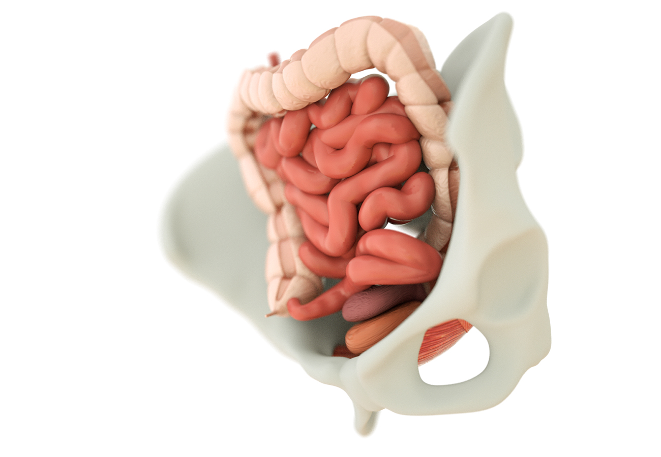 Continence Foundation of Australia